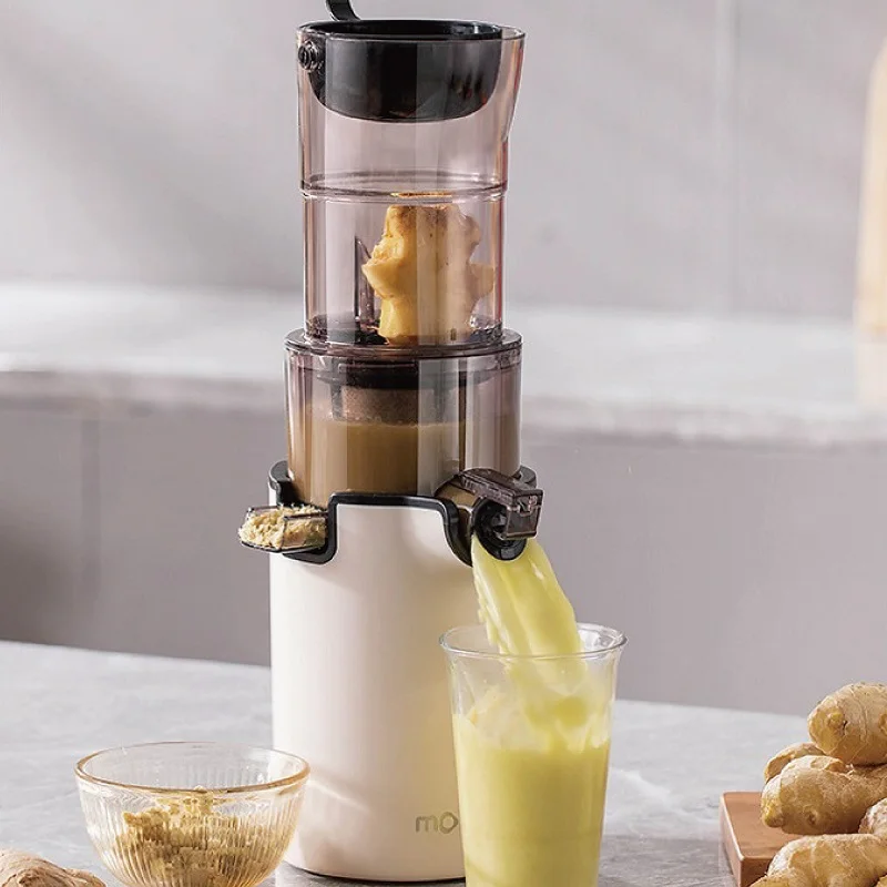 Sanex Slow Motion Juicer Wipro Vesta FS101 Cold Press Slow Juicer