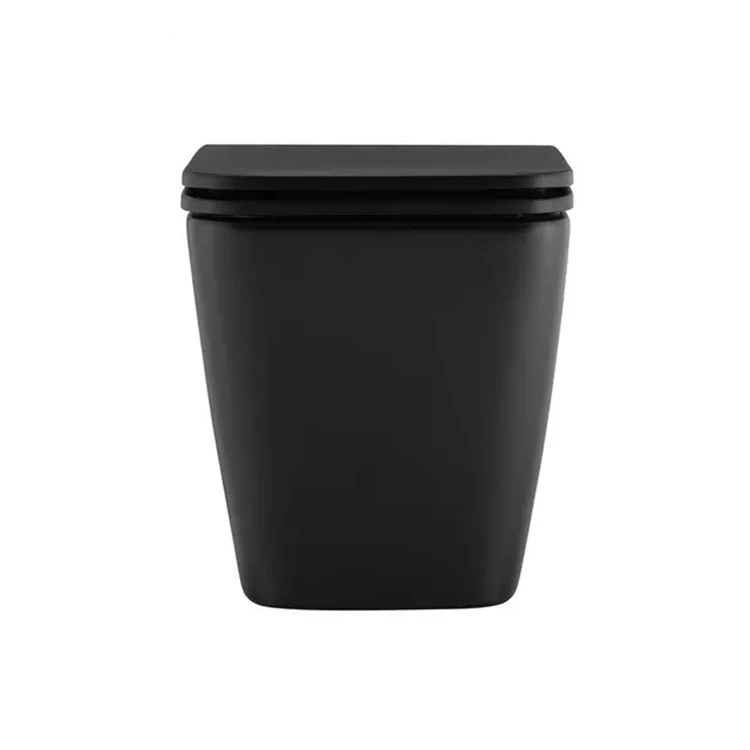 Cupc Bathroom Sanitary Ware Water Tank Hidden Toile Ceramic One Piece Washdown Wall Hung Toilet Bowl