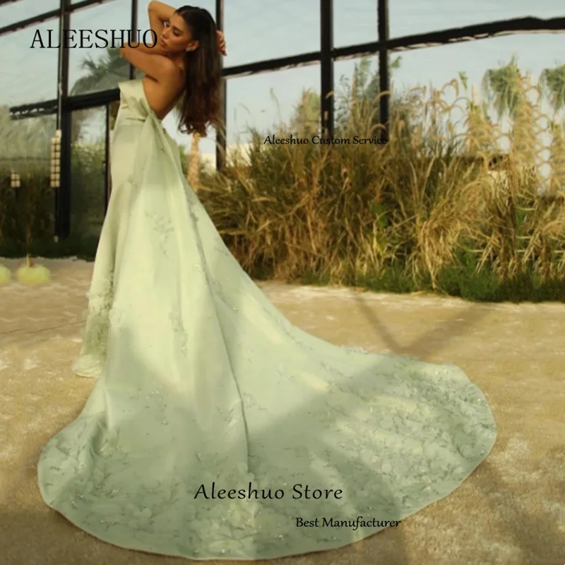 Рисунок 2 - Aleeshuo современное длинное стандартное