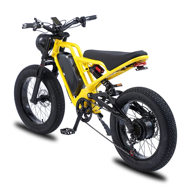 Fast Speed Cafe Racer 20 Inch 750W/1500W Electric Mountain Dirt