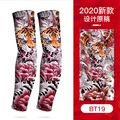 Dragons tigers