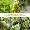 1Pcs Multi Use Plant Trellis Netting Heavy-Duty Polyester Plant Support Vine Climbing Hydroponics Garden Net Accessories 5