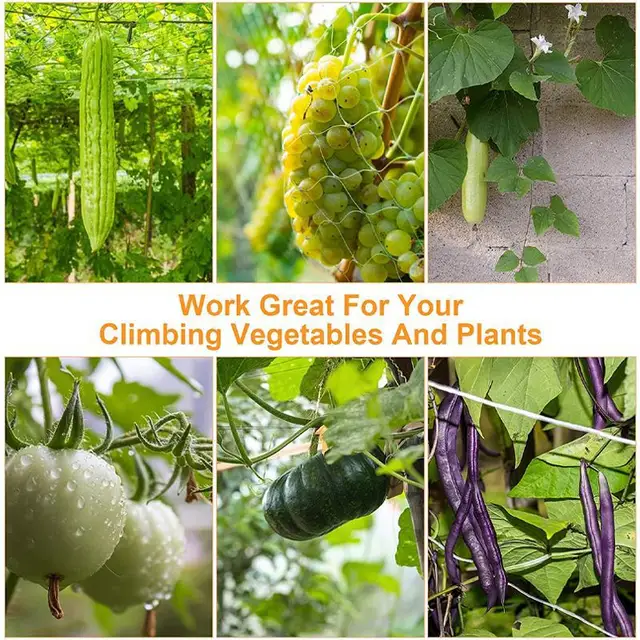 1Pcs Multi Use Plant Trellis Netting Heavy-Duty Polyester Plant Support Vine Climbing Hydroponics Garden Net Accessories 5