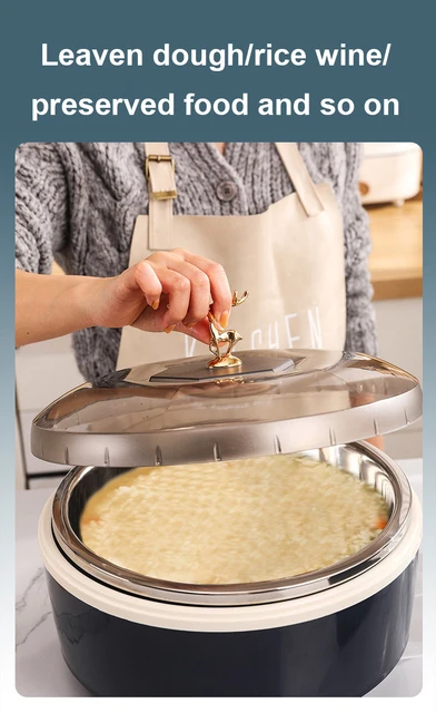 Yogurtiera In Acciaio Inox 220V - Per Yogurt Greco E Francese, Fatto In Casa, 15W Eco - Foto 12