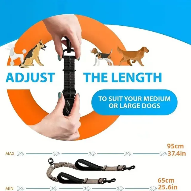 Explosion Proof Impact Elastic Buffering Adjustable One To Two Double Dog Leashes Dog Walking Accessories for Small Dogs 6