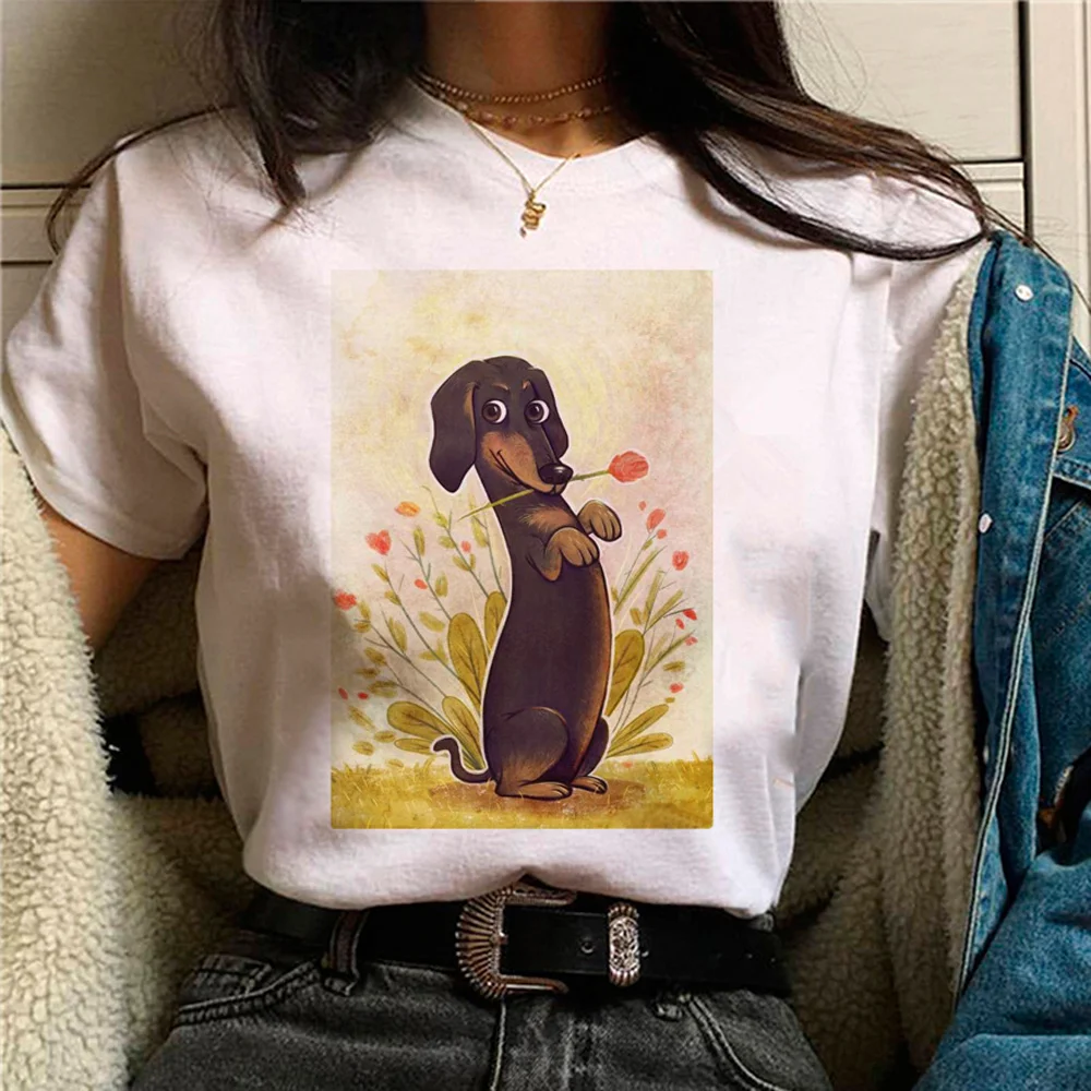 

Dachshund