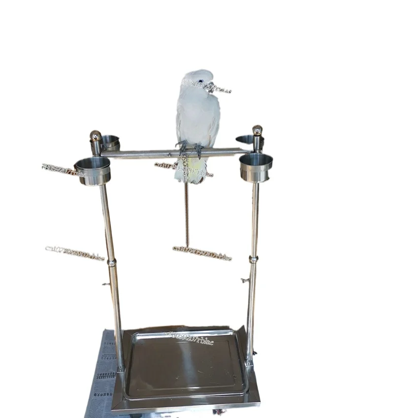 

Stainless Steel Parrot Stand: An Ideal Claw Grinding Paradise for Medium To Large Parrots
