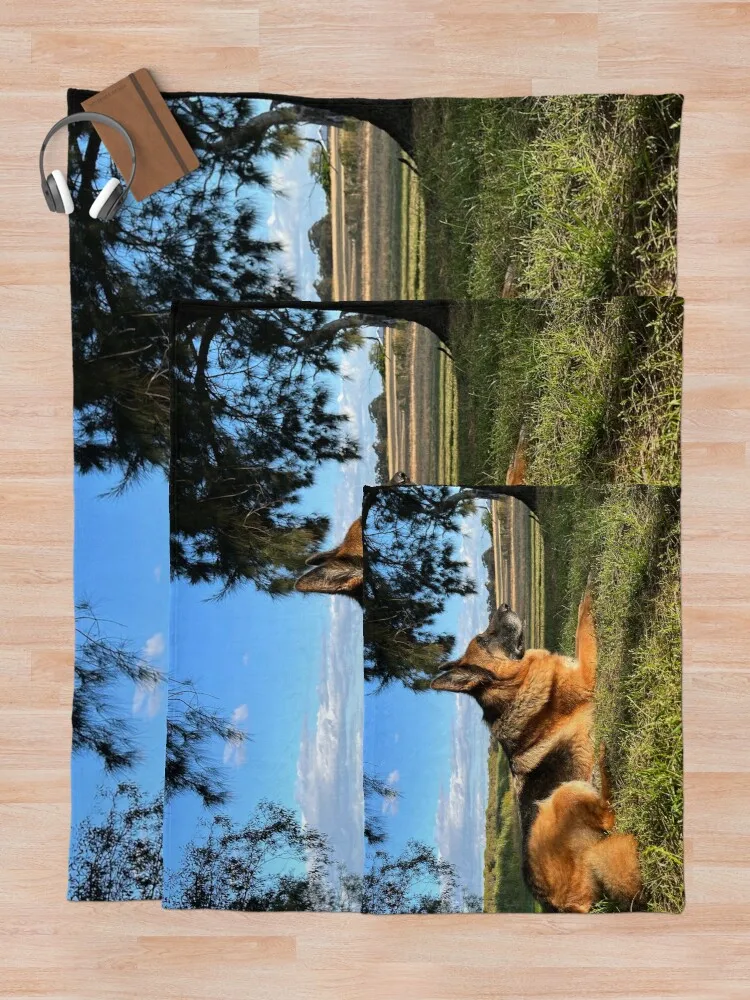 �¾��� ��ġ�� ���, ��ũ�� ���