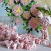 FEKER Flowers Seeking Switch 5PIN Linear Switch 40G POK Customized Mechanical Keyboard Accessories Game Office Mechanical Shaft