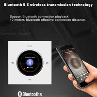 Home bluetooth amplifier smart home audio mini in wall amplifier 86 type FM USB TF music host Ceiling Speaker Audio Panel System 3