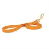 Dog Leash for Small Medium Large Dogs Walking,Easy to Use, Lightweight & Durable,Training Leash for Control Safety Training 6