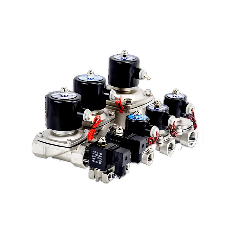

Stainless steel 304 solenoid valve 2S water valve 2W200-20 gas valve control 2W025-08B AC220V 2W160-15B DC12V 2W040-10B DC24V