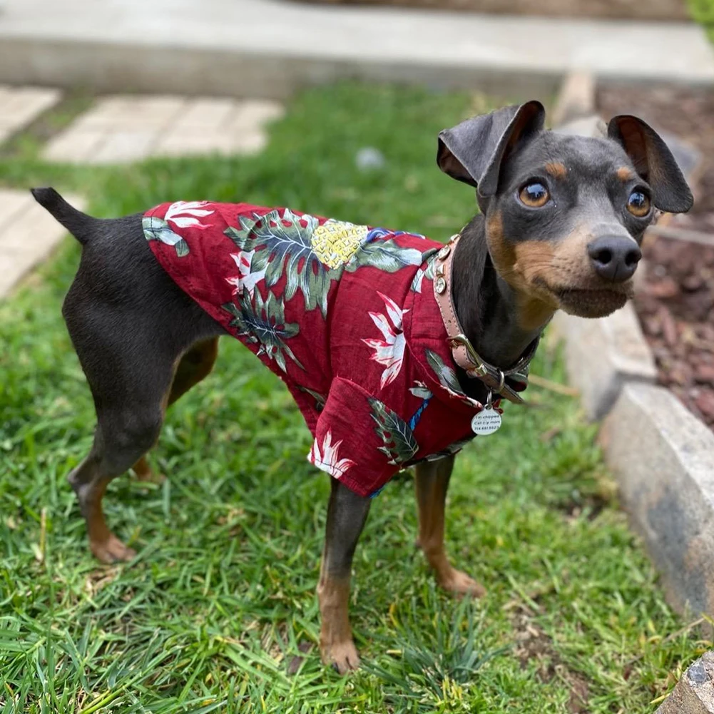 Pet Dog Shirt Summer Dog Clothes Cool Beach Hawaiian Style Dog Cat Shirt Short Sleeve Coconut Tree Printing New Fashion Gift for Pet
