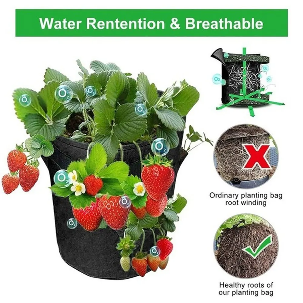 Multi-Port Grow Bag 5/7/10 Gallon Strawberry Tomato Grow Bag Reusable Non Woven Hanging Grow Bag for Cultivated Plants