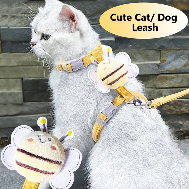 Kitten Harness And Leash BINGPET Cat Harness With Leash And Collar