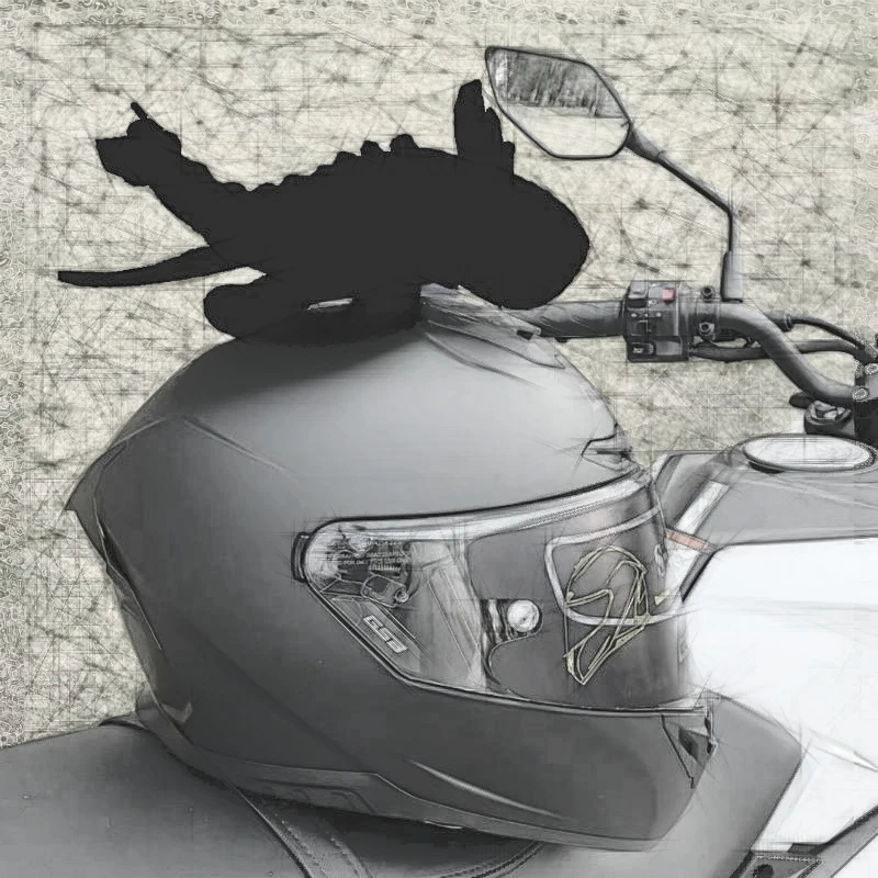 Accessori Per Interni Auto Decorazione Auto Accessori Per Casco Moto Black Flying Dragon Car Roof Toy Doll Ornaments