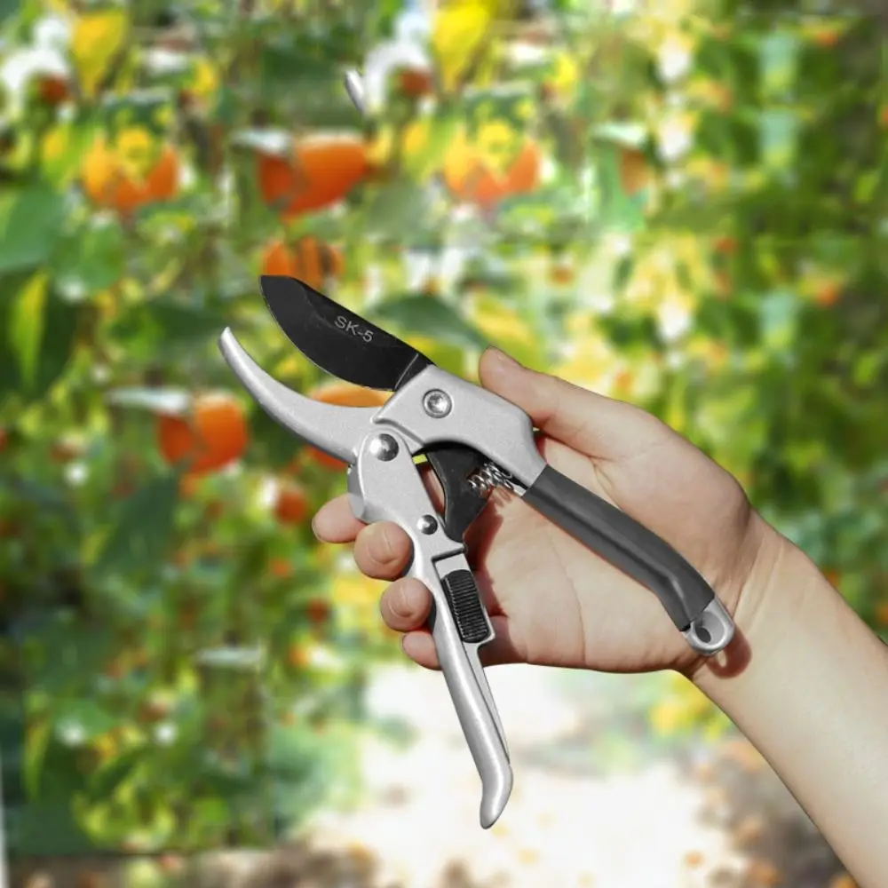 

Branch Shears Branch Pruner Horticulture Leaf Trimmer Agriculture Scissor Gardening Scissor Garden Shears Garden Pruning Shears