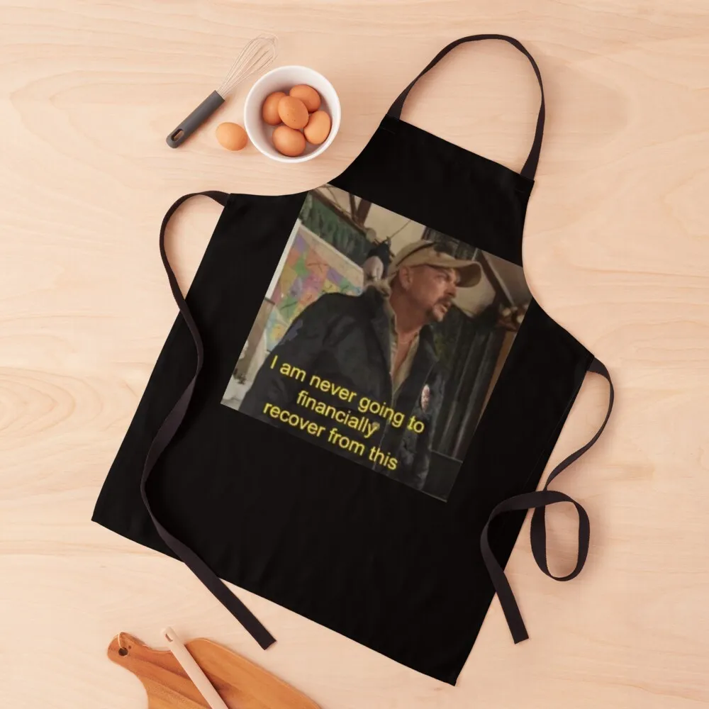 

I am never going to finan Apron Kitchen Handle For Women Kitchens For Men Ladies Sexy Apron
