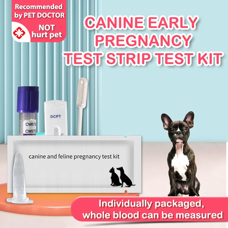 Dog Pregnancy Test Strip Dog Pregnancy Test Card Canine Feline Kit Veterinary supplies