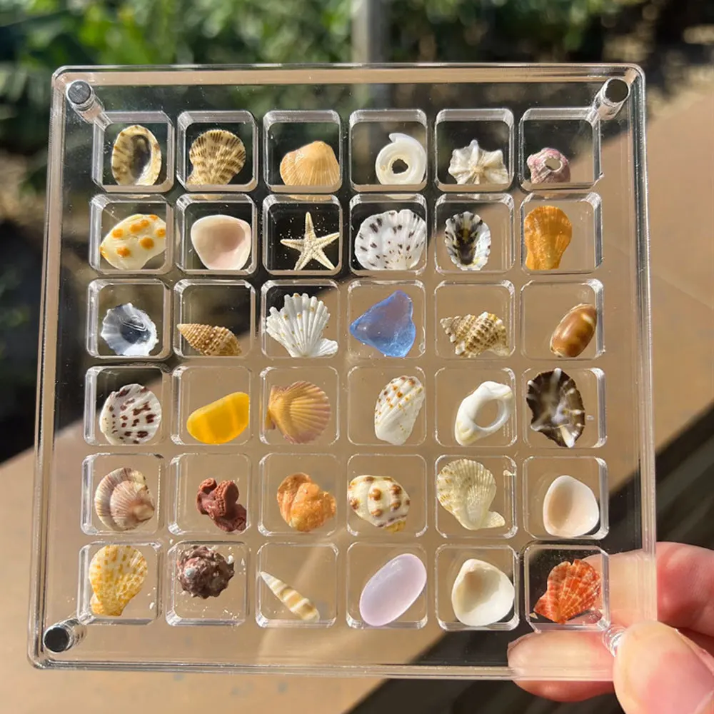 

36/64 Grids Seashell Display Box Acrylic Magnetic Seashell Display Case Organizer Box Stackable Small Craft Compartment Boxd