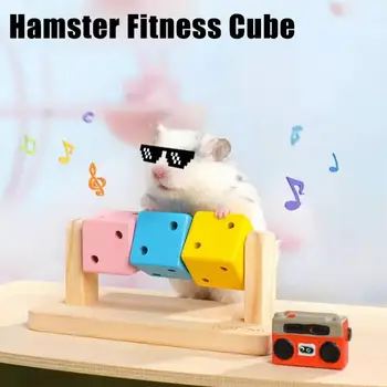 Colorful Cube Hamster Toy 1