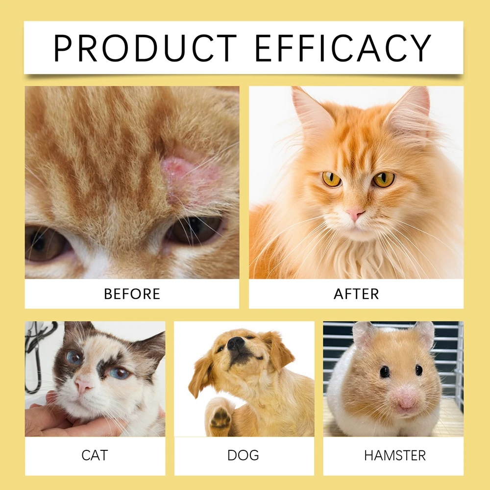 Slide image 8d7864300486482094eec52e8da7ade7