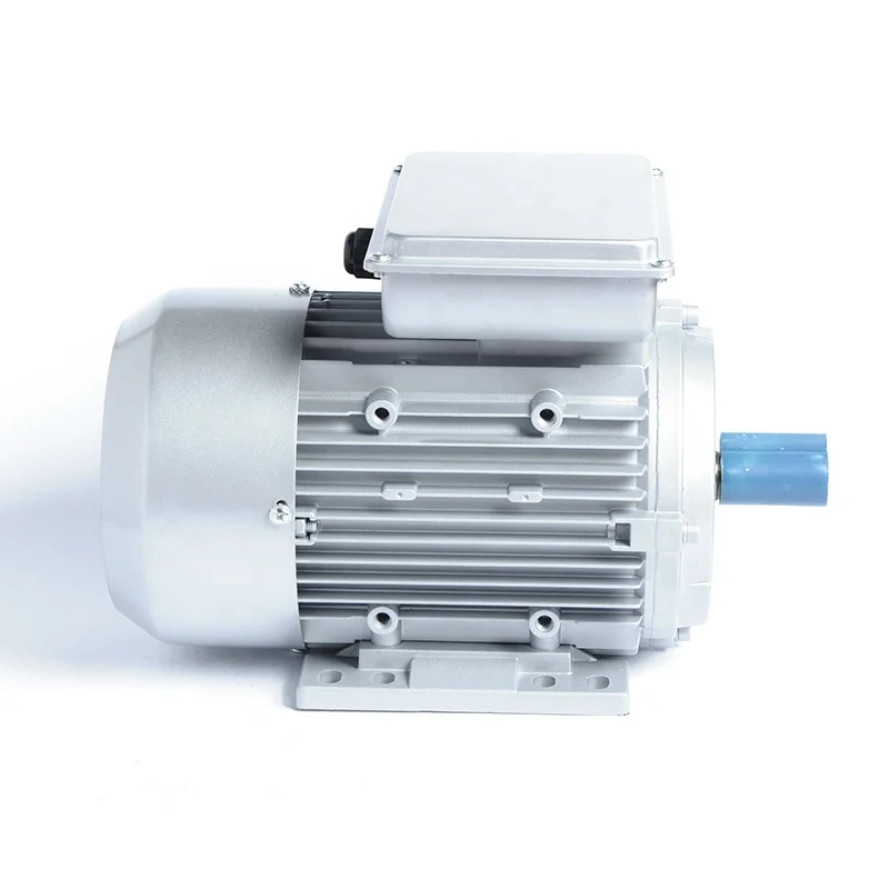 Single Phase Motor for Oil Pump 110V/220V - China Single Phase Motor;, Dual  Capacitor