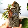 Natural Agate Crystal Tower Stone Wand Point  Room Decoration Agate and Pyrite Mineral Symbiont Ornaments Reiki Healing Crystals 1
