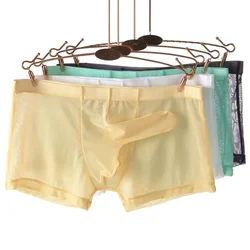 Sexy Men Transparent Trunks Underwear Ultra-Thin See Through Boxer Briefs Mesh Elephant Nose Panties Breathable Homme Slip