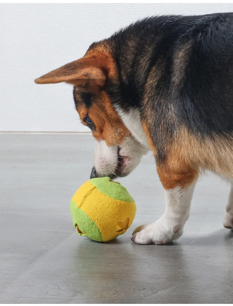 Tennis sniffing toys _14