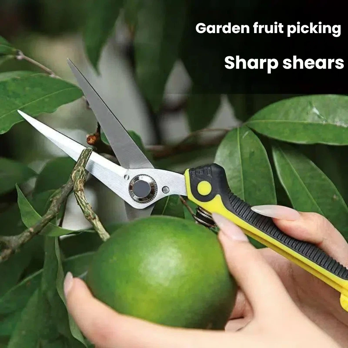 직선/곡선형 가지치기 가위 미끄럼 방지 손잡이 스테인리스 스틸 수공구 가정용 분재 정원 가위