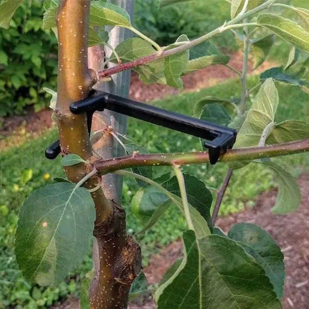 

Crotch Angles Branches Spreader Side Splitter Plant Limb Spreaders for Fruit Trees
