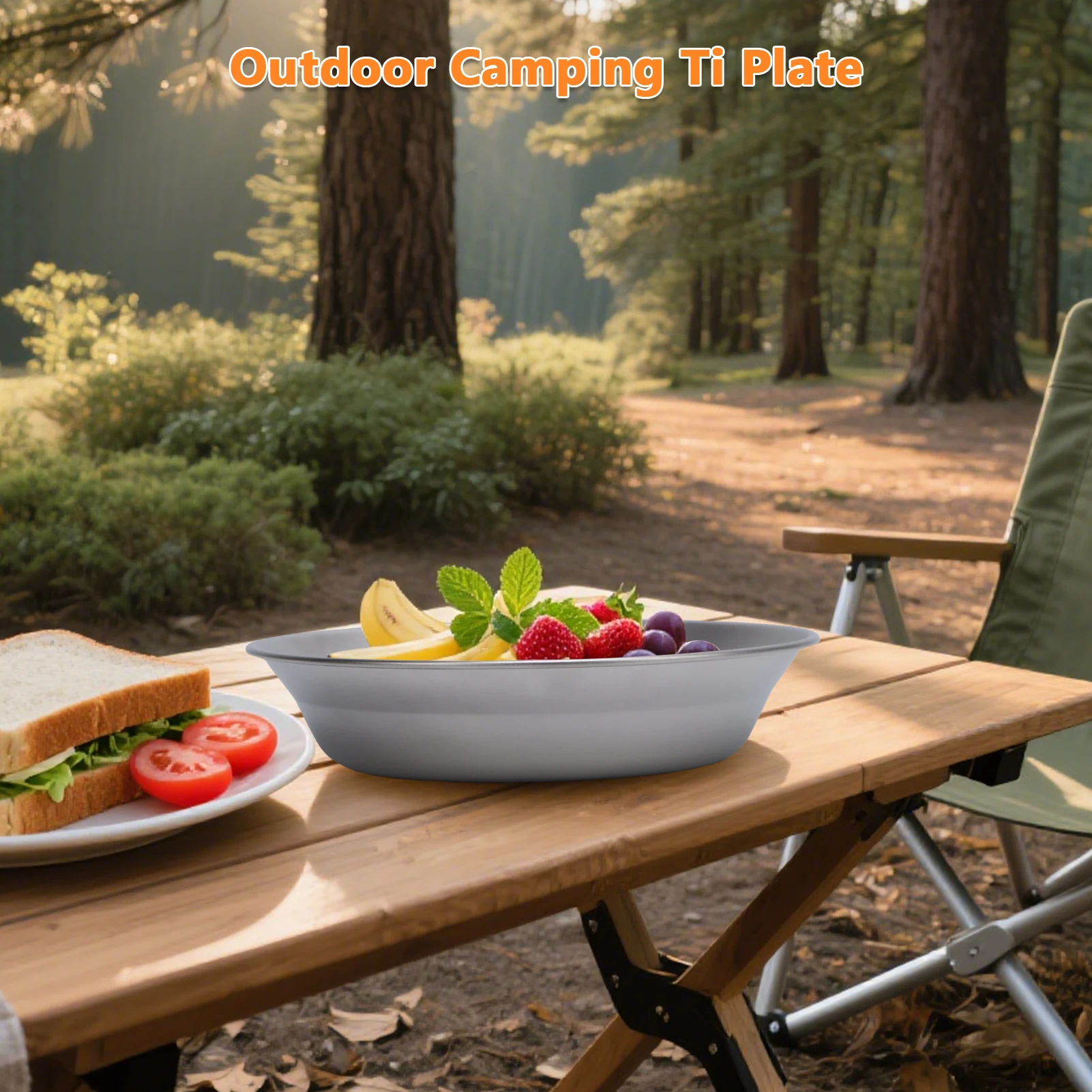 500ml Pure Ti Camping Plate Lightweight Ti Dish Cookware Outdoor Backpacking Plate for Camping Hiking Kitchen