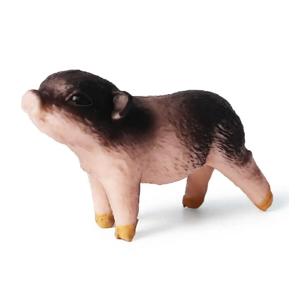 

Multifunctional Pig Model Educational Pig Toy for Children Wild Boar Figurine Set Realistic Pig Models for Kids Educational Toy