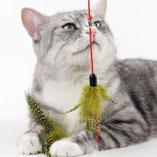 Cat Toy Feather Cats Sticks Cat Toys Interactive Double Feather Toys Cats Teasing Kitten Teaser Stick with Bell Toy Pet Products 3