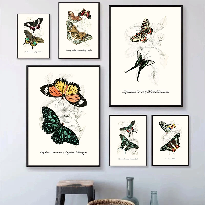 Vintage Farfalle Poster Vintage Dead Leaf Butterfly Esemplare Canvas Printing Poster Wall Art Decoration Paint Home Room Decor