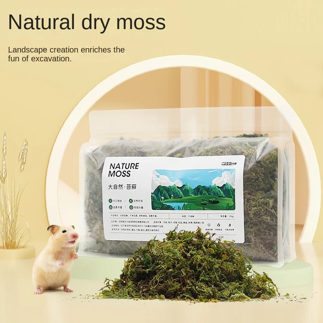 Natural Forest Moss Hamster Bedding Hamster Cage Landscaping Supplies  Chipmunk Small Animal Bedding Hamster Accessories - AliExpress