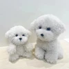 Cute Simulation Curly Dog Bichon Dog Plush Toy Kawaii Real Life Plush Toys Girl Birthday Girlfriend Gift Accessories 6