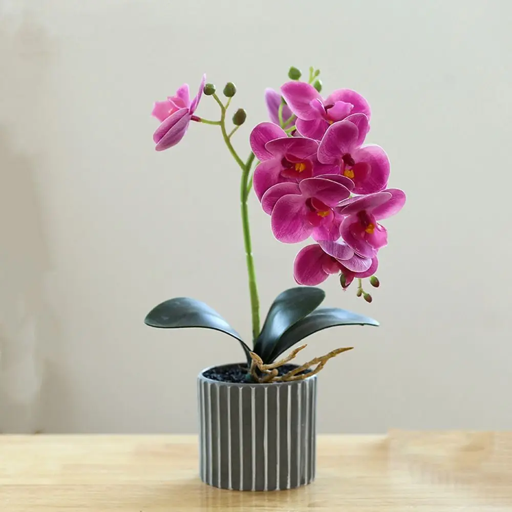 

Advanced Artificial Phalaenopsis Potted Bonsai with Leaf Realistic Artificial Orchid Flower Bonsai 8 Flowers Fake Orchid
