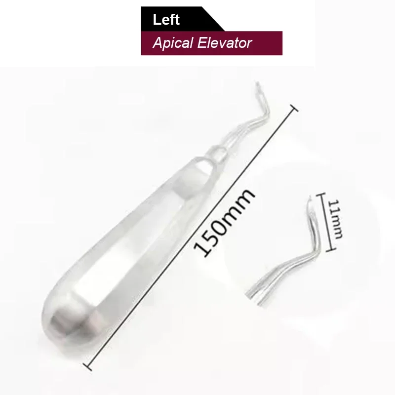 Strumento Dentale Per Estrazione Dei Denti Con Barra Trasversale Per Ascensore Winter Cryer 12L,12R - Italia - Foto 13