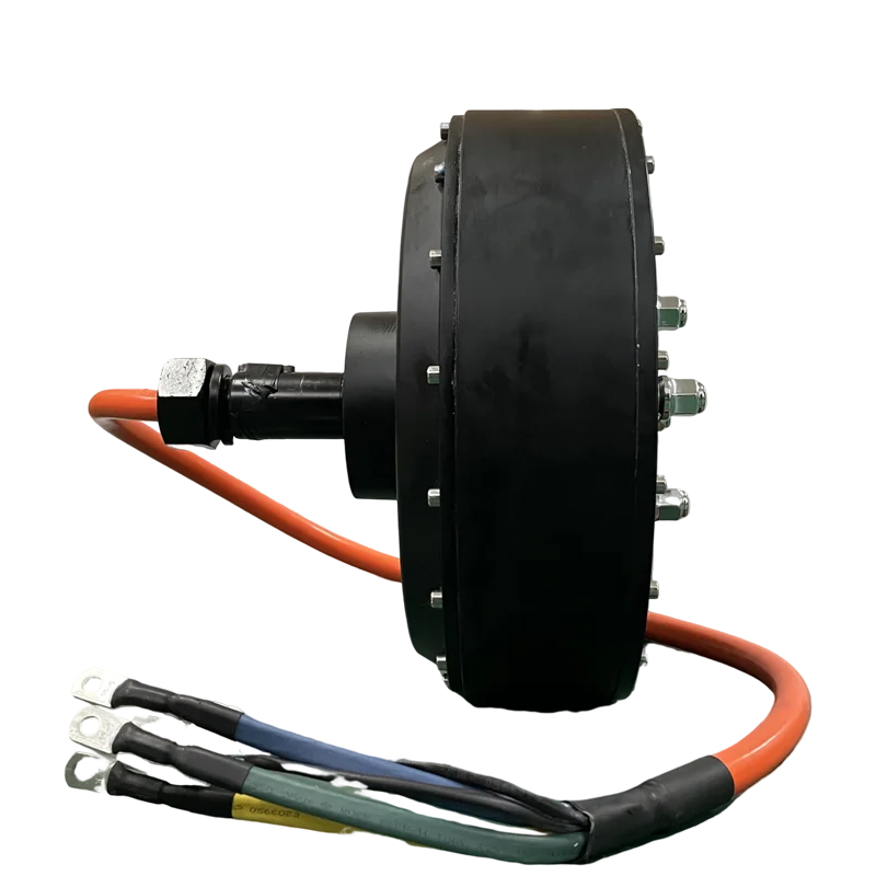 

QS273 6000 Вт Малогабаритный электродвигатель V2 типа