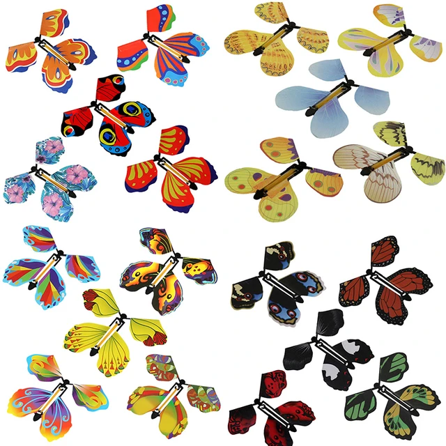 pack avec papillon magique - Le Papillon Magique