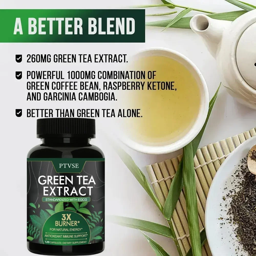 Green Tea Extract Ptvse Premium Green Tea Extract Supports energy levels cleanses and detoxifies the intestines boosts metabolism Fat Burner