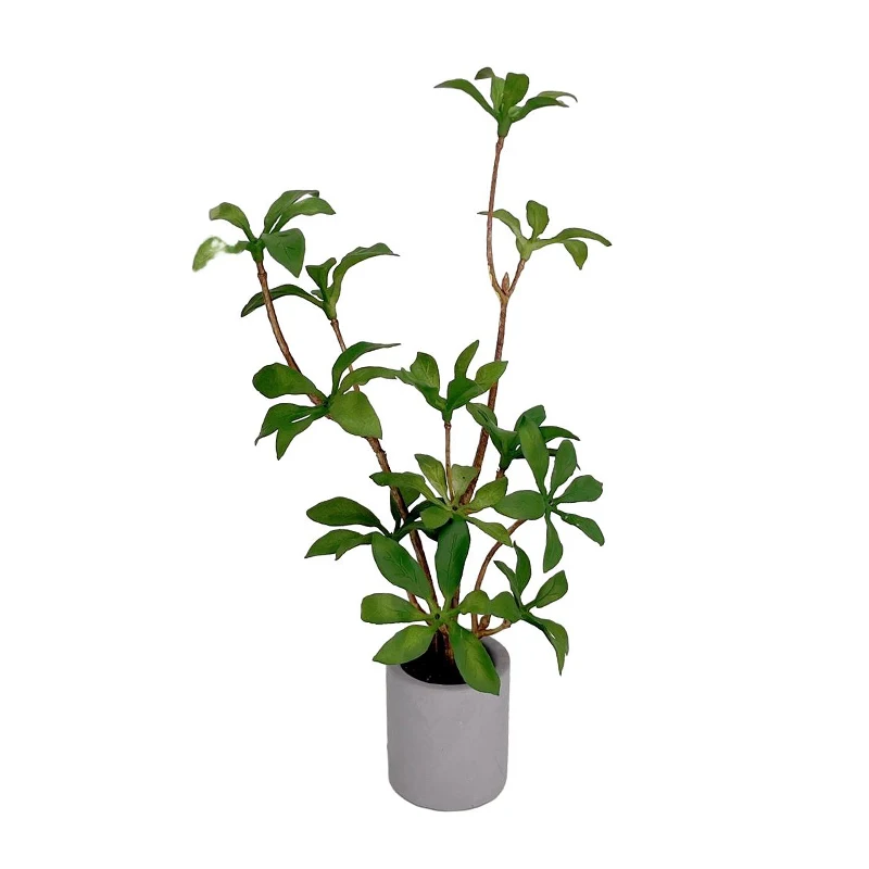 Miniature Green Leaf Potted Plant Decoration