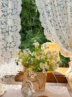 Gauze Curtains with Wavy Edge Palace European Style 2025 New Lace Partition Curtain French High-end Vintage Beige Embroidered 1