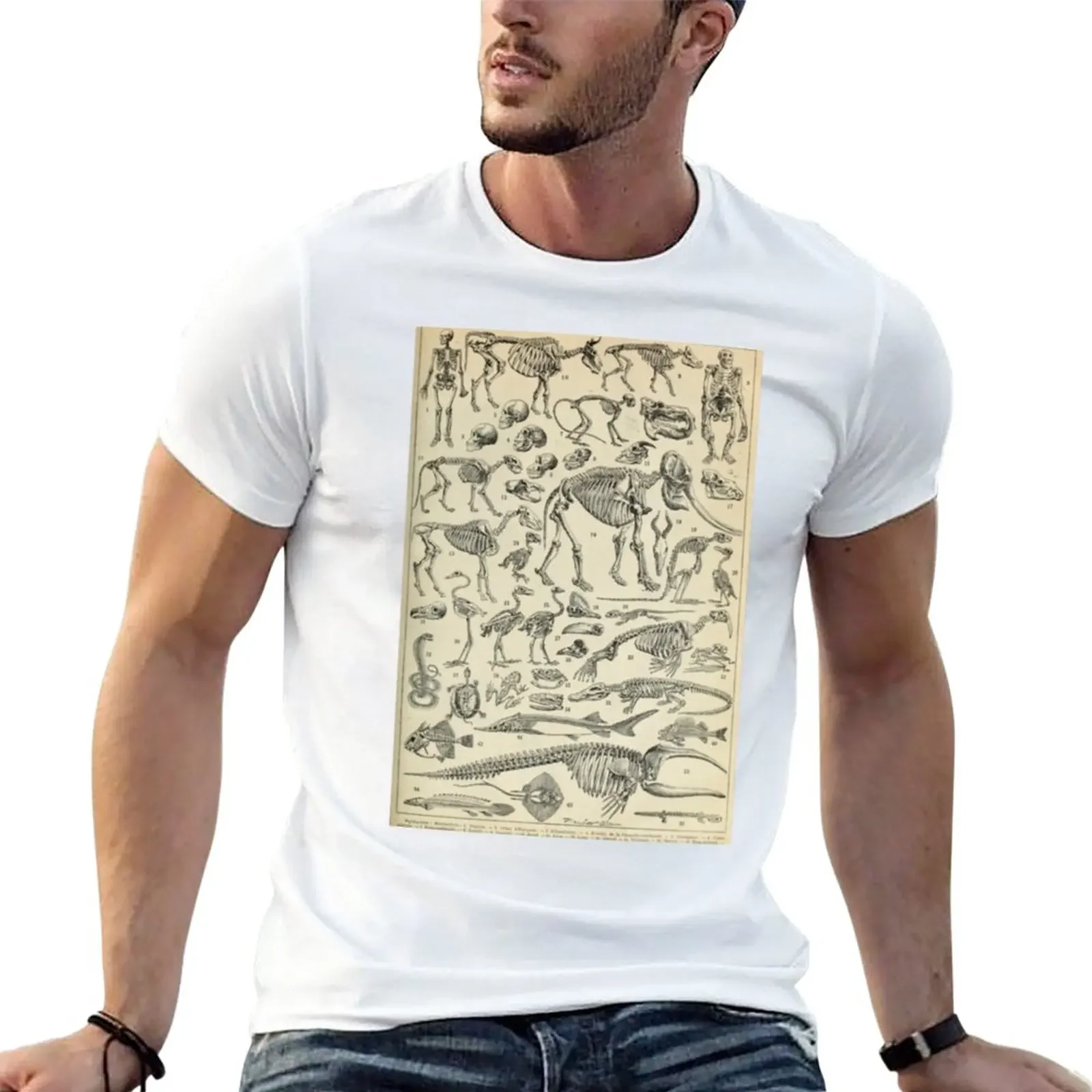 

Skeletal Anatomy T-Shirt tees Aesthetic clothing t shirts men