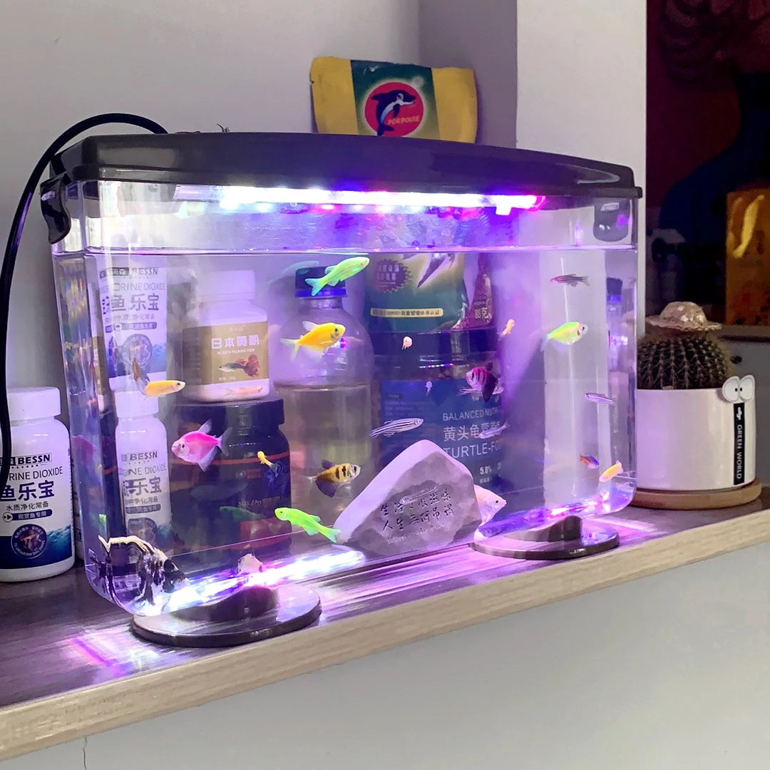 PET Aquariums Shrimp Cover Small Fish Shrimps Turtle Tank Insect Specialized Container Mini Portable Ecosystem Watertank