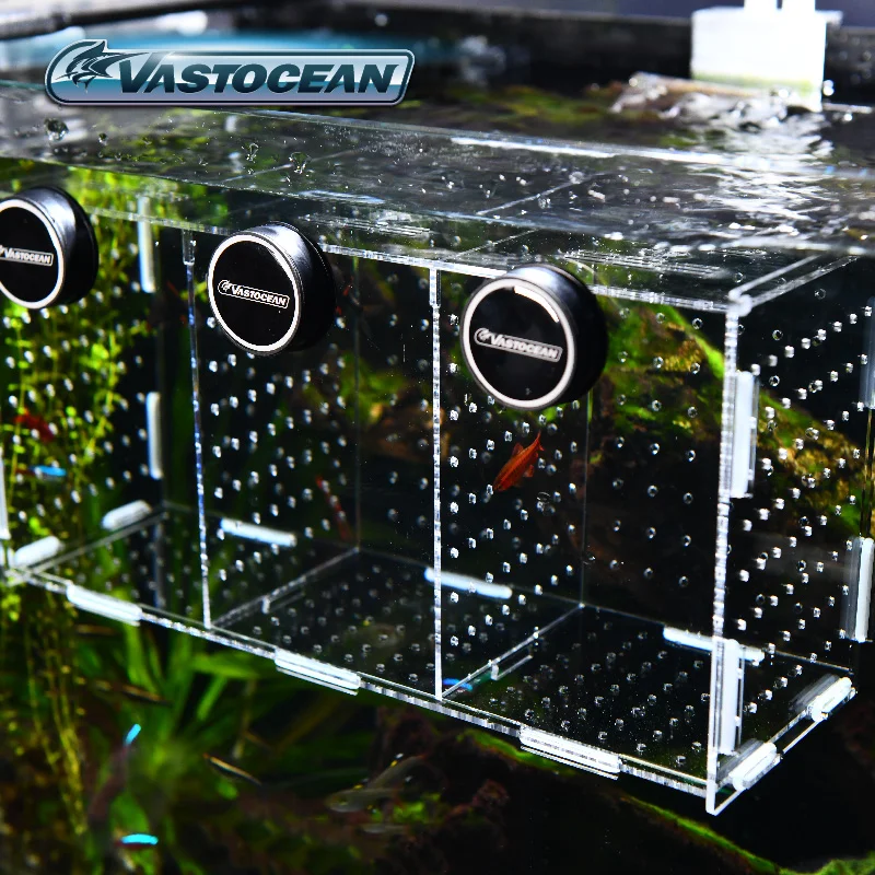 Magnetic Combined Acrylic Hatching Isolation Box Breeding Box for Fish Tank