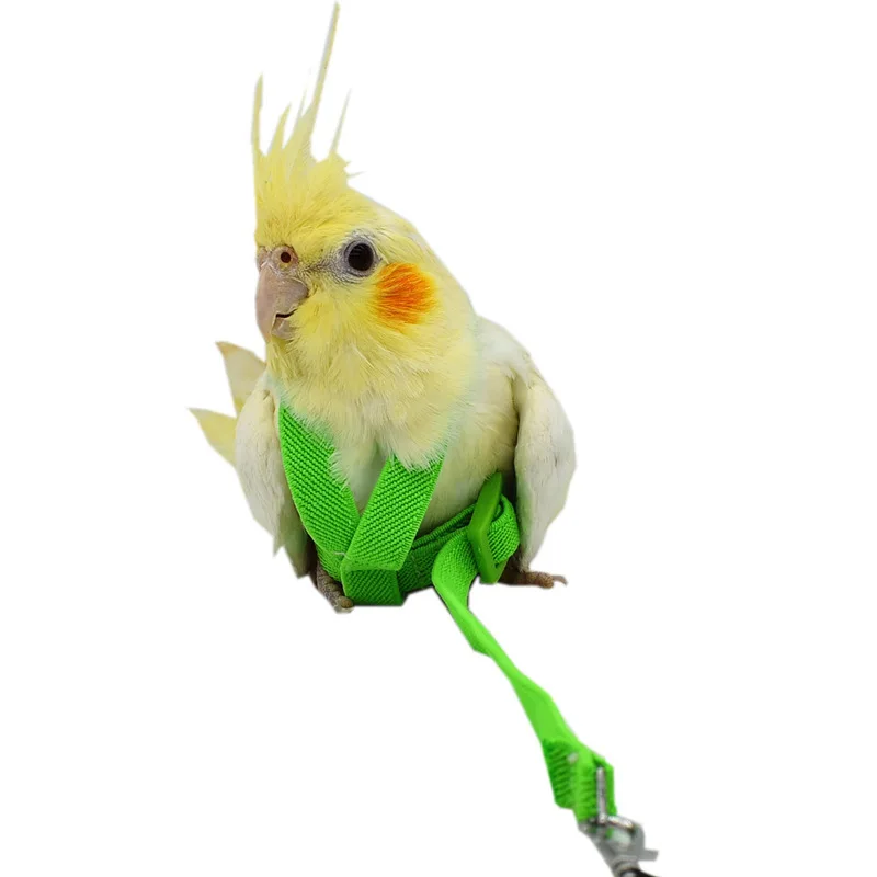 Hot Sale Anti-bite Flying Training Rope Parrot Bird Pet Leash Kits Ultralight Harness Leash Soft Portable Pet Bird's Ultralight Harness