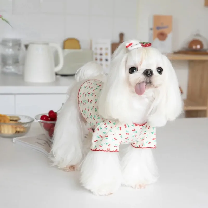Cute Pet Winter Cherry Basecoat Dog Home Cute Cherry Pet Abbigliamento Dog T-Shirt Pet Abbigliamento Teddy Abbigliamento Designer Puppy Clothes
